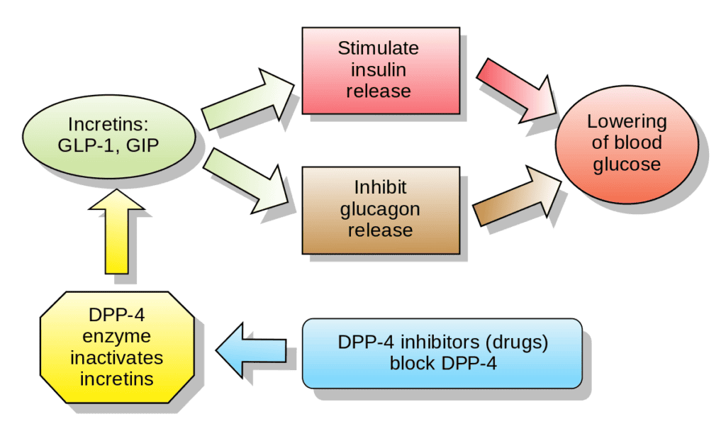 definition-of-glucagon-like-peptide-1-buy-direct-peptides-online